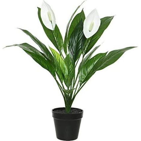 Plante Artificielle Fleur De Lune