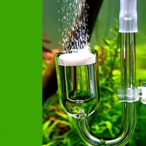 Diffuseur de CO2 pour aquarium en verre haute transparence, augmentant la saturation en CO2 (1/4)