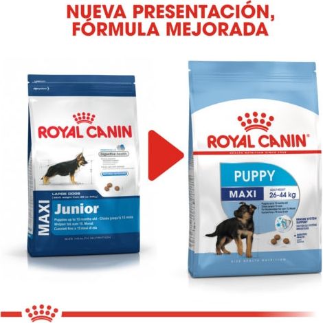 Pienso ROYAL CANIN MAXI PUPPY (JUNIOR) perros de tamaño grande