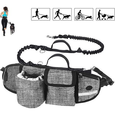 Correa para perros manos libres. Amortiguación de impactos. Comodidad. Costuras reflectantes. Ideal para correr, trotar y caminar. Color gris. (1/4)