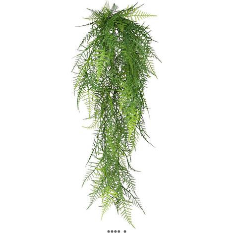 Chute d'asparagus artificiel L 80 cm feuillage plastique (1/3)