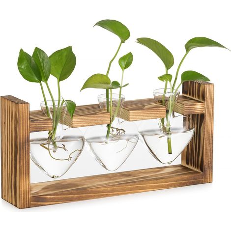 Terrarium Plante en Verre pour Maison: Vase Fleur Lot De 3 Vases en Forme De Coeur pour Salon Serre Table FenêTre Décoration - Station De Bouturage Vase DéCoratif pour Plantes Hydroponie (1/5)