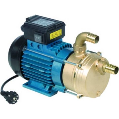 ELETTROPOMPA TRAVASO 0,6 HP TELLARINI 2600 L/H 25 MM