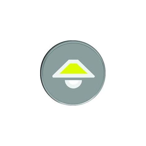 Pictogramme Plafonnier 2CKA006123A0005 ABB 590110