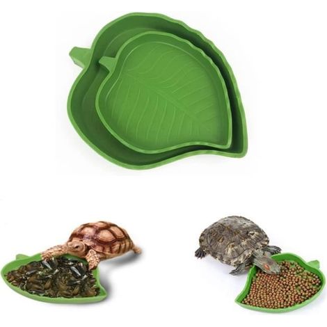 Bol d'eau de Nourriture pour Reptiles - Marque - Modèle - Vert - Plastique - Petit (1/4)