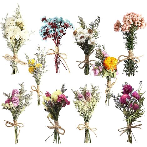 Lot de 10 Mini Bouquets de Fleurs Séchées Naturelles, Mini Fleurs Séchées, Bouquet de Fleurs Sechees, Mélange de Fleurs Séchées Naturelles pour Loisirs Créatifs Décoration D'intérieur (1/5)