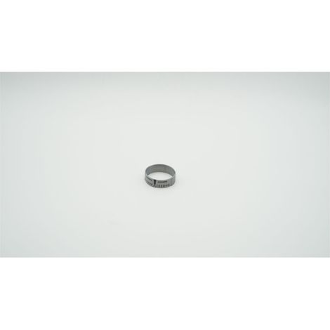 BWT Datumring für Bolero HWS/RF und Cillit Galileo HWS/RSF, ABS Silbermetallic, 1-151886