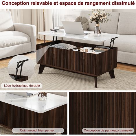 Table Basse, Table de Salon Relevable, Métal Vérin à Gaz, Compartiment sous Le Plateau,pour Salon, Bureau, Salle à Manger, 105x 42 x 53 cm