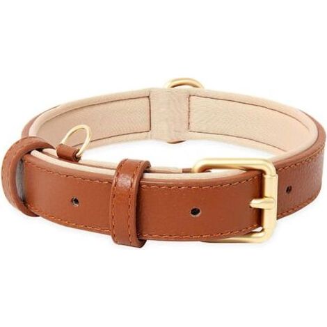 Collier de Chien, en Cuir, Collier de Chien Ajustable Coussin Moelleux Cuir Rembourré pour Petite, Moyenne ou Grande Chiens, Marron, M (1/4)