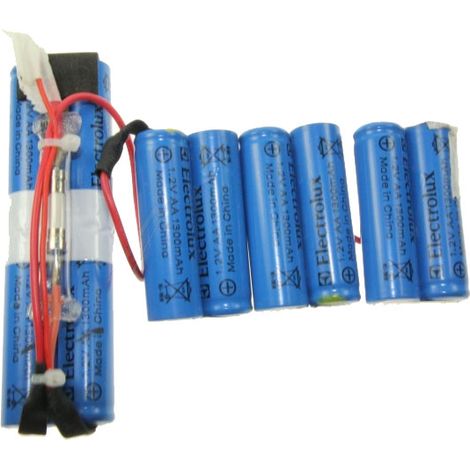 KIT BATTERIE ERGO RAPIDO pour PIECES ASPIRATEUR NETTOYEUR... (1/3)