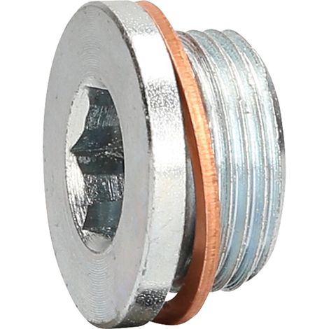 KS Tools 430.0602 Ölablassschraube M22 x 1,5 x 13 mm für Renault (1/4)