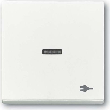 Busch-Jaeger Bascule avec impression symbole "Prise de courant" avec petite calotte transparente pour interrupteur/bouton-poussoir, 1 compartiment blanc studio - Plattform 63 (1789 ST-84), 2CKA001751A