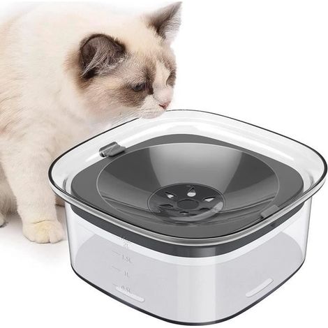 Gamelle flottante - MARQUE - 2L - Anti Éclaboussures - Pour Chien - Intérieur (1/4)