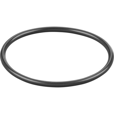 Rems O-Ring 060320