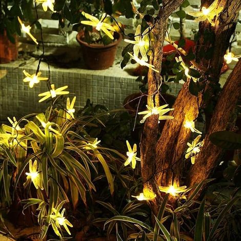MINKUROW Luces De Hadas Solares Al Aire Libre 50 Luces De Hadas De Libélula Led Al Aire Libre Luz Blanca Cálida Decoración De Libélula Solar Con 8 Modos De Luz Iluminación Impermeable Para Jardín, Dec (1/5)
