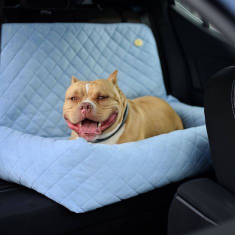 Seggiolino auto per cani di taglia grande XL, beige