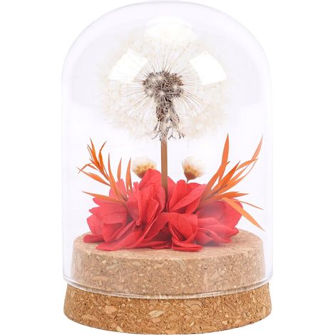 Pissenlit préservé sous cloche de verre, ornement réaliste et durable, cadeau attentionné pour la décoration (rouge) (1/5)