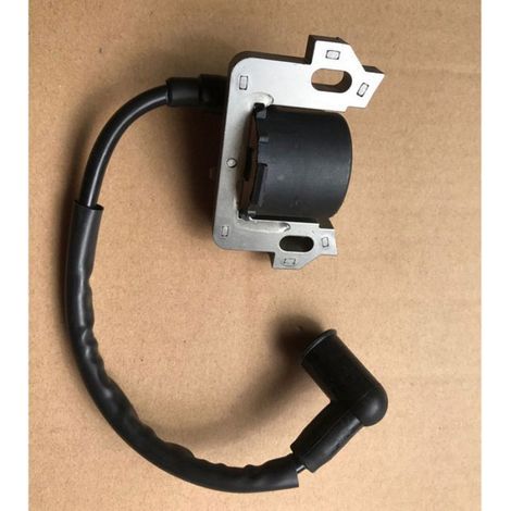 Bobine D Allumage - Pour Moteurs Honda GCV135 GCV160 GCV190 GSV160 - 2 Pièces (1/5)