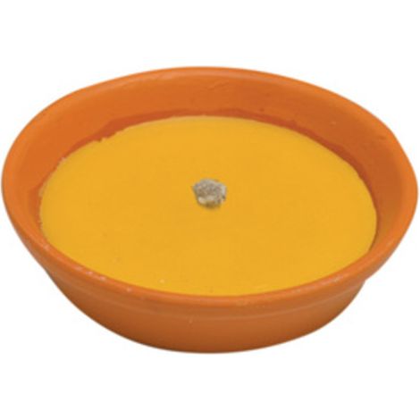 1PZ CITRONELLA IN COCCIO ANTIVENTO D 14 CM