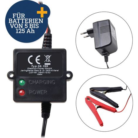 FILMER Chargeur et mainteneur de batterie 36199, 12 V, 5...125 Ah (1/4)