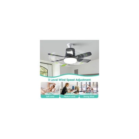 Ventilateur Plafond avec Lumiere et Telecommande ACKERMAN, Lampe Ventilateur Plafond Silencieux Petit 6 Pales Luminaire LED pour Chambre, 3 Vitesses (1/5)