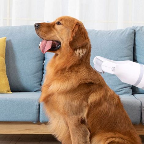 Peigne Anti-Poux - Électrique 12 V - Pour Animaux Domestiques Et Humains - 13500 Tr/Min - Avec 3 Filtres - Réutilisable (1/4)