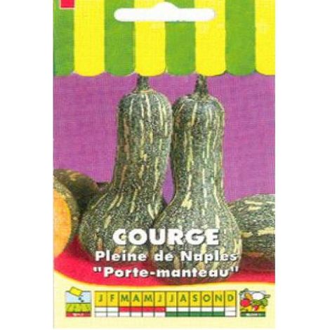 Courge 'Pleine de Naples' le sachet de 15 graines (2g) (1/2)