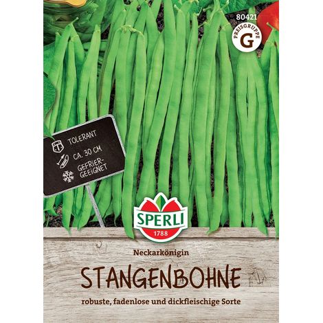 Sperli Stangenbohnen Neckarkönigin - Gemüsesamen (1/2)