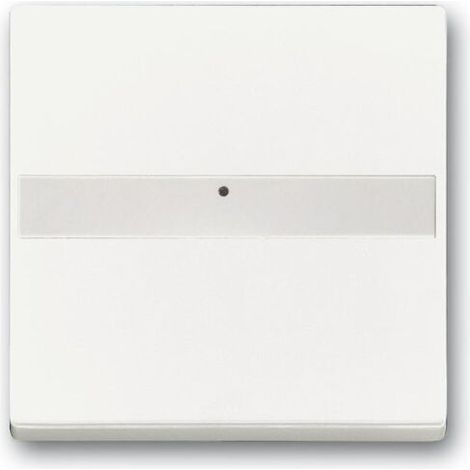Busch-Jaeger 1764 NLI-884 mit Beschriftungsfeld Wippe