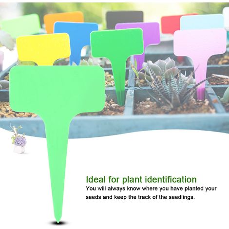 Étiquettes de jardin vertes en plastique, 50 pièces, marqueurs végétaux type T pour pépinière, pelouse, potager, étiquettes nominatives résistantes. (1/5)