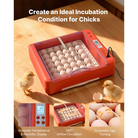 Couveuse Œuf Automatique 36 Œufs de Poule Incubateur Œuf pour Éclosion Œufs de Volaille Poussins Canetons Oies Cailles, Mire LED Ba… (1/5)