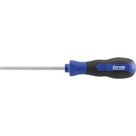 Schraubendreher Hex 8,0x100mm FORUM (1/4)