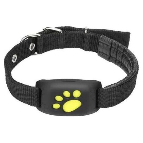 Chiens Chats Gps Suivi Pet Gps Tracker Collier Anti-perdu Dispositif De Suivi en temps réel Localisateur De Colliers pour Animaux de Compagnie Avec Micro -black, Ensoleillé (1/4)