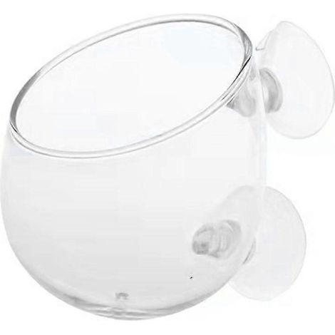 Supports à plantes en verre transparent avec ventouses pour aquariums et aménagements paysagers (1/4)
