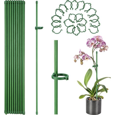 Tuteur pour Plantes [Fibre de verre] Fixation personnalisable Tiges 20x30cm ou 45cm avec attaches 2.5cm pour plantes pot fleurs tomates (1/5)