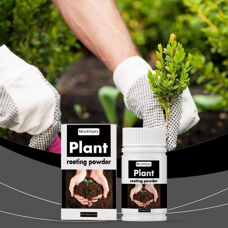 Poudre d'enracinement pour bouturage, usage général, pour la transplantation d'arbres et d'arbres fruitiers, engrais racinaire en poudre – 100 g (1/5)