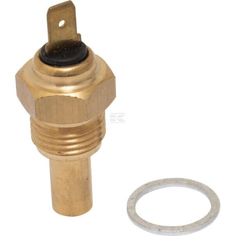 Interruptor AGCO 1877731M92 (1/3)