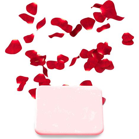 Home Deluxe - Placas de fragancia para ionizador LIMA  Aplicación Rosa