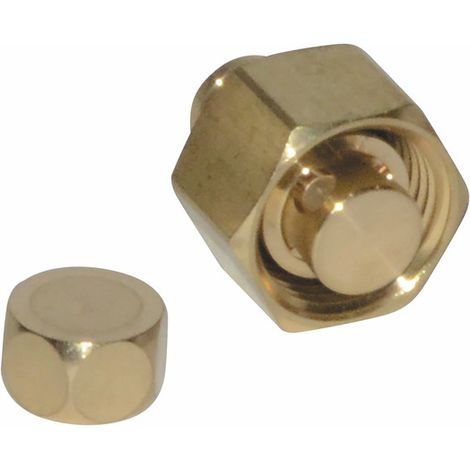 Robinet vidange complet - DIFF pour Frisquet : F3AA40790