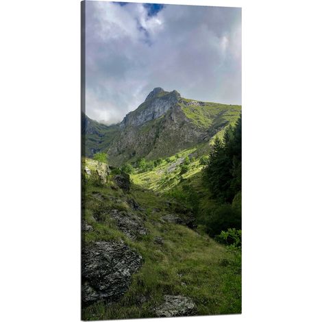 Leinwanddruck Natur Überwucherte Berge 60x120 cm