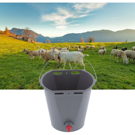 Seau d'alimentation en plastique de 8 L avec tétines et clapets anti-retour, pour l'alimentation du bétail, notamment des agneaux. (1/5)