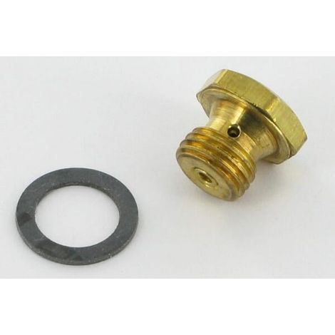493637 – Vis de cuve de carburateur pour moteur – Optimise performance et durabilité – Compatible modèles 110402 à 129887 (1/2)