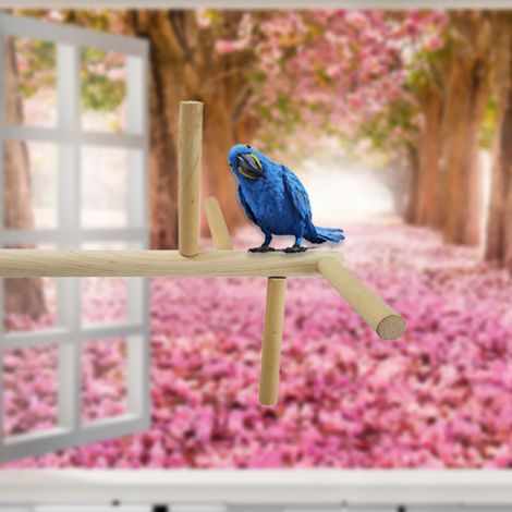 Perchoirs en bois pour perroquets, support pour oiseaux, perchoirs pivotants, accessoires pour cages à oiseaux (1/5)