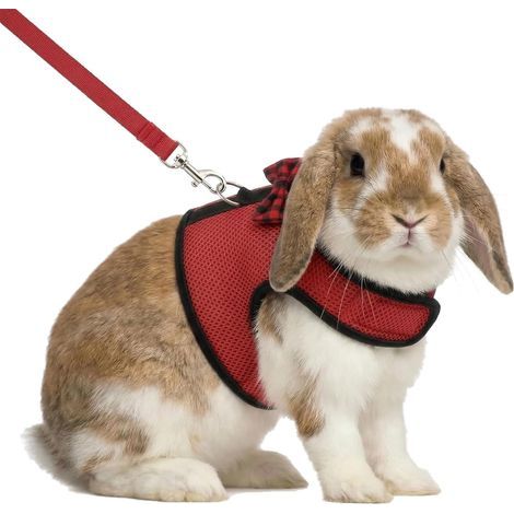 Ensemble laisse et harnais anti-traction pour chats, conçu pour les petits animaux de compagnie réglable, doux et respirant (Rouge, Taille M : Tour de poitrine 25–32 cm) (1/5)