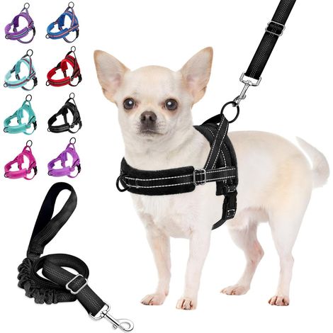 Ensemble Harnais et Laisse pour Petit Chien, à Ajustement Rapide, Gilet Rembourré avec Sécurité et Bungee Ajustable (1/5)