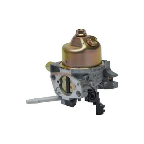 Carburatore MTD 75114423 (1/2)