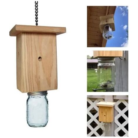 Piège à abeilles en bois et verre - Online Store (1/5)