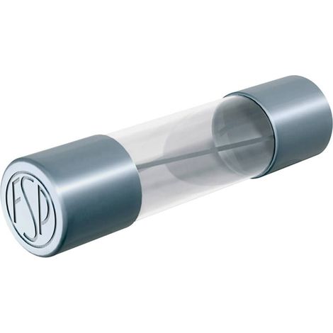 Püschel Feinsicherungen FSF0,16B FSF0,16B Micro-fusible (Ø x L) 5 mm x 20 mm 0.16 A 250 V rapide -F-