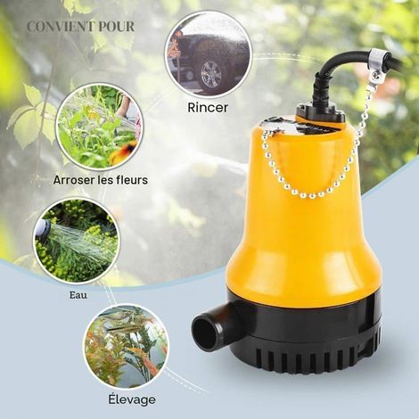 Pompe submersible DC 12 v 60 W 3600 L/h pour bateau de bassin avec (1/5)