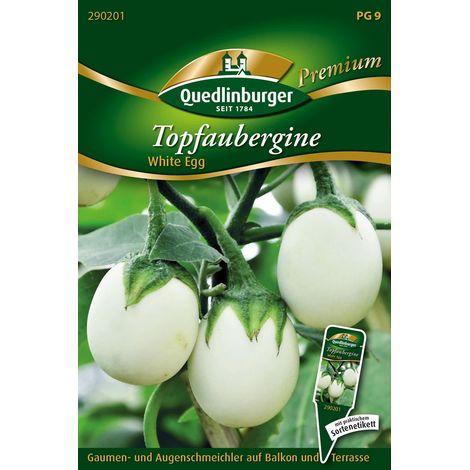 Quedlinburger Saatgut – Aubergine en pot « White Egg » – Graines de légumes, fruits blancs en forme d'œuf, hauteur 80-100 cm (1/2)